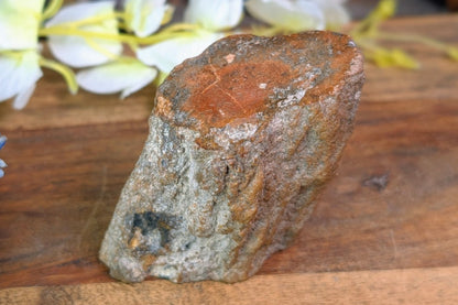 Petrified Wood Limb