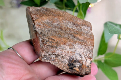 Petrified Wood Limb