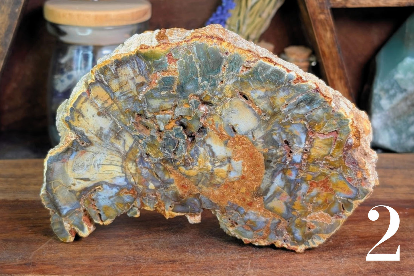 Petrified Wood Slab