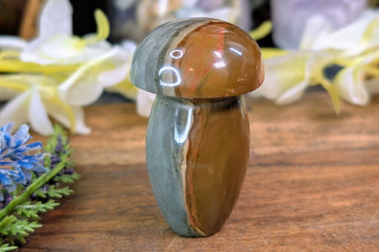 Polychrome Jasper Mushroom