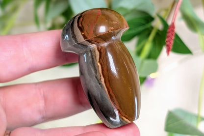 Polychrome Jasper Mushroom