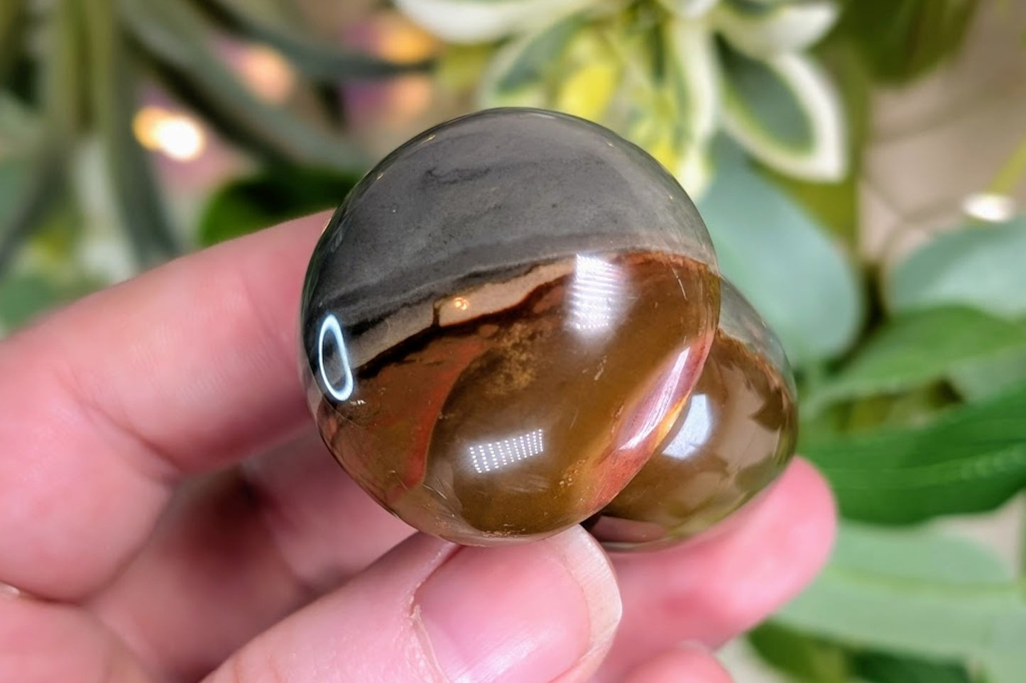 Polychrome Jasper Mushroom