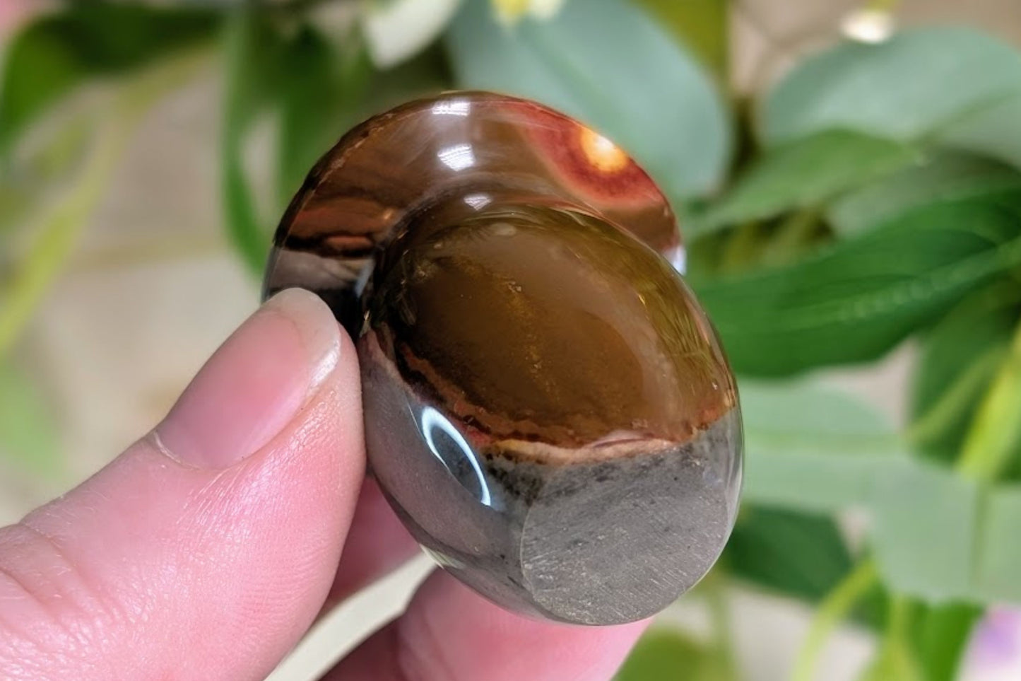 Polychrome Jasper Mushroom