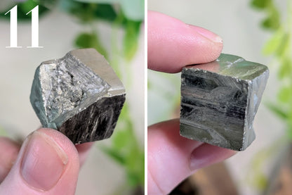Pyrite Cubes