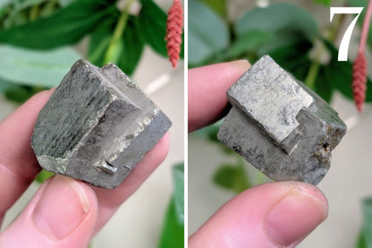 Pyrite Cubes