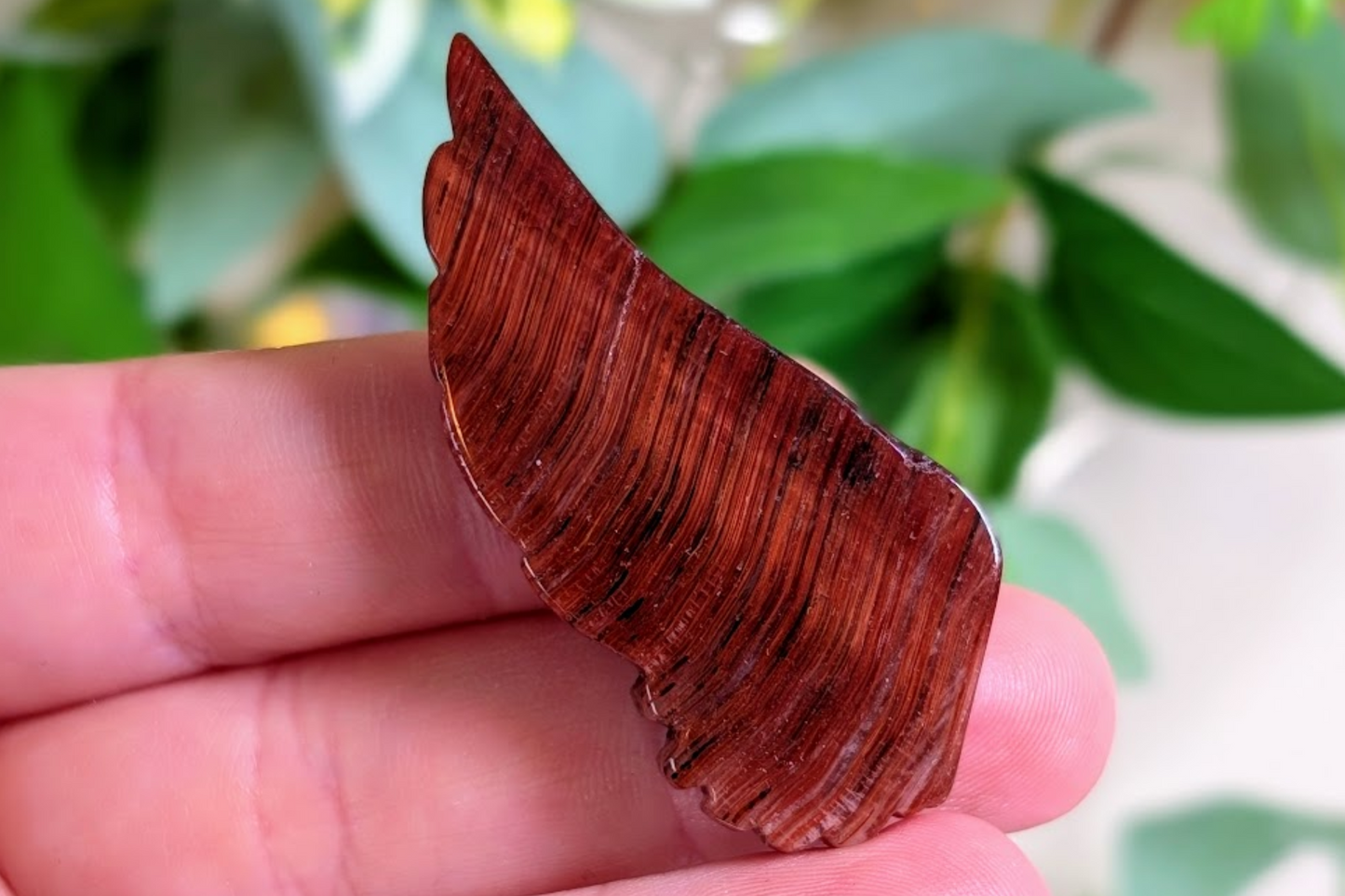 Red Tiger Eye Wing