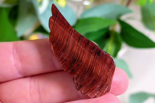 Red Tiger Eye Wing