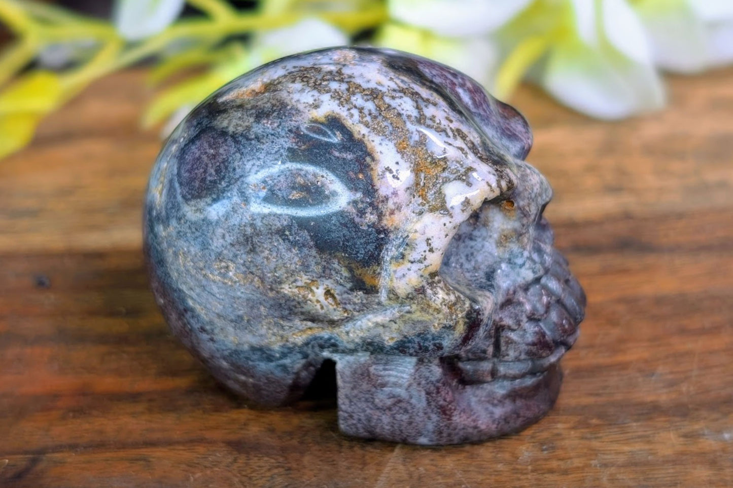 Red Zebra Jasper Skull