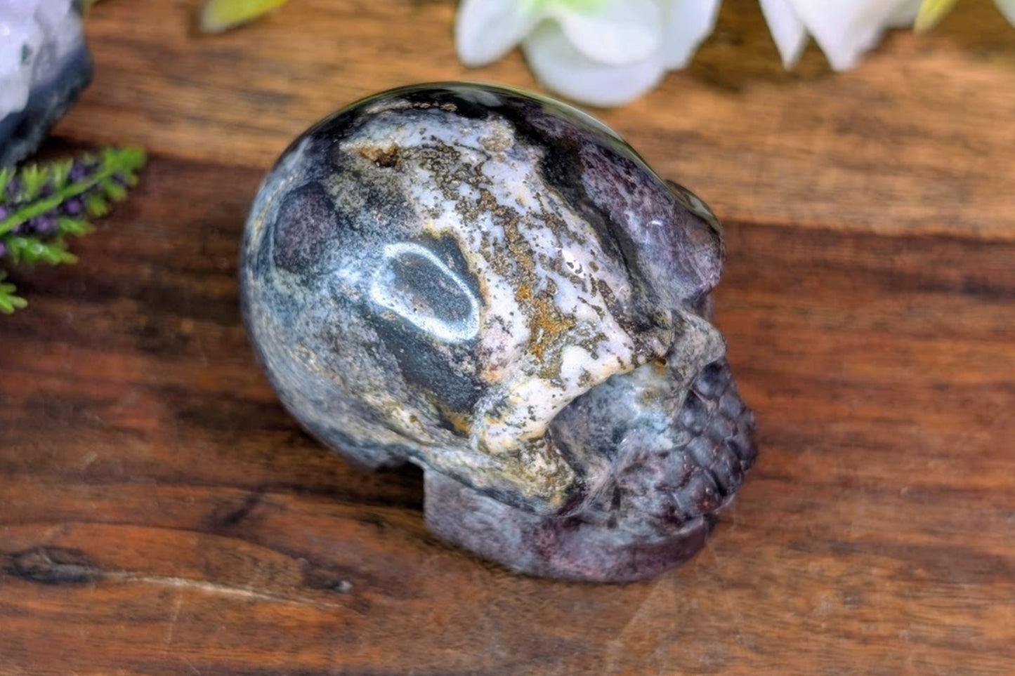 Red Zebra Jasper Skull