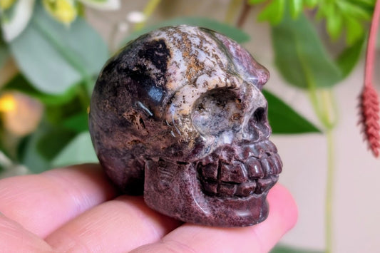 Red Zebra Jasper Skull