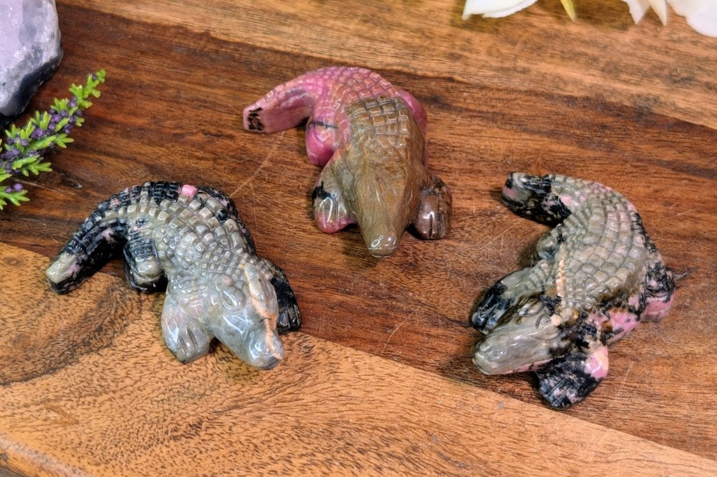 Rhodonite Alligator