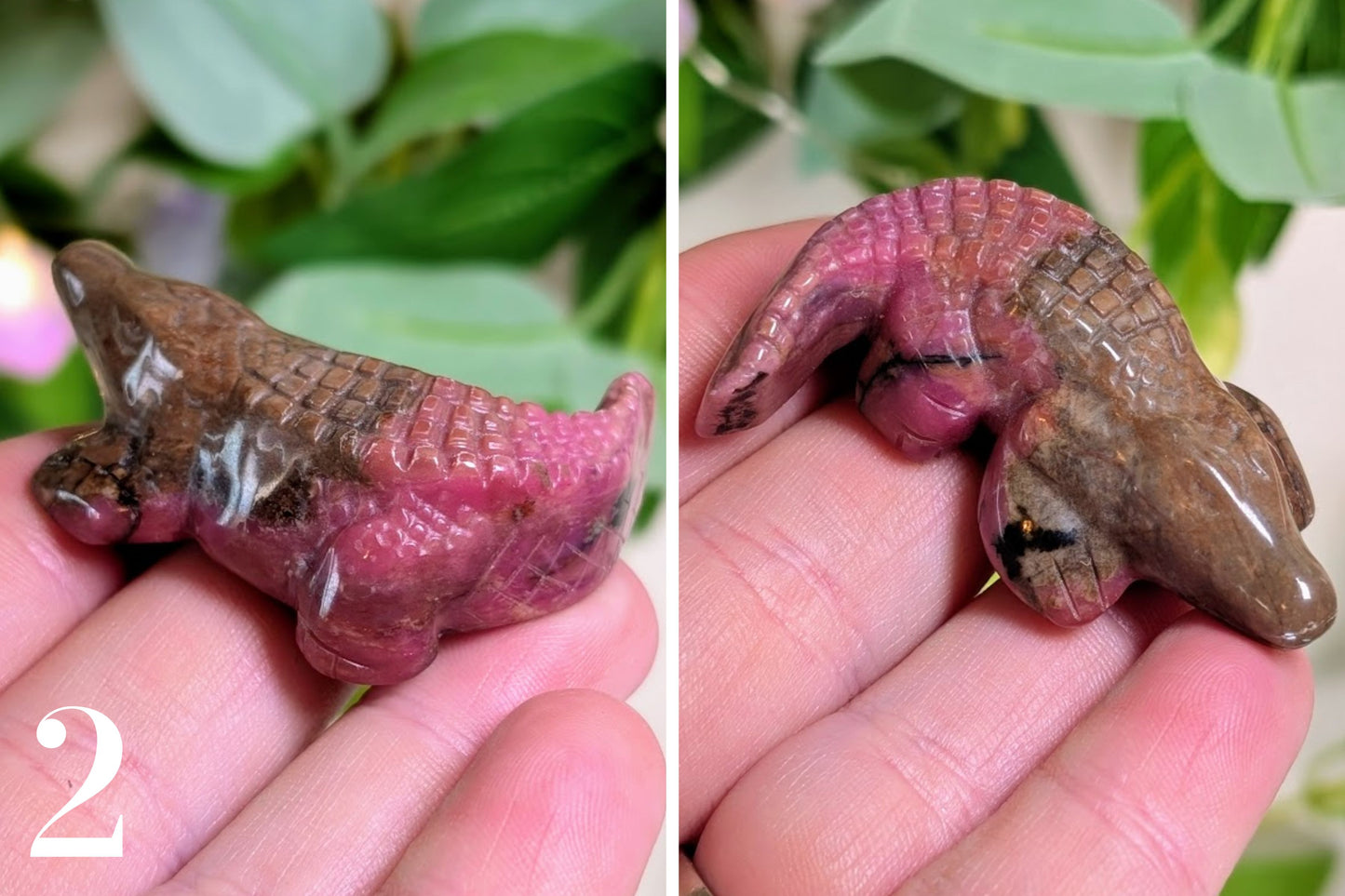 Rhodonite Alligator