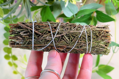 Rosemary Herb Bundle 5"