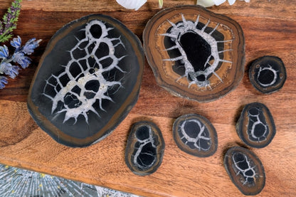 Septarian Nodule