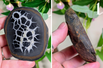 Septarian Nodule