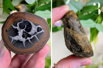 Septarian Nodule