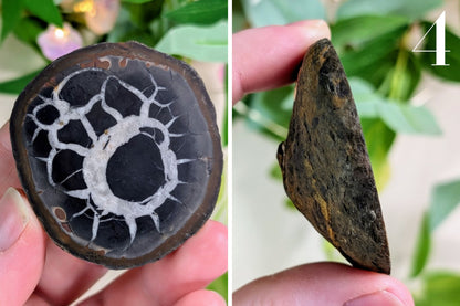 Septarian Nodule
