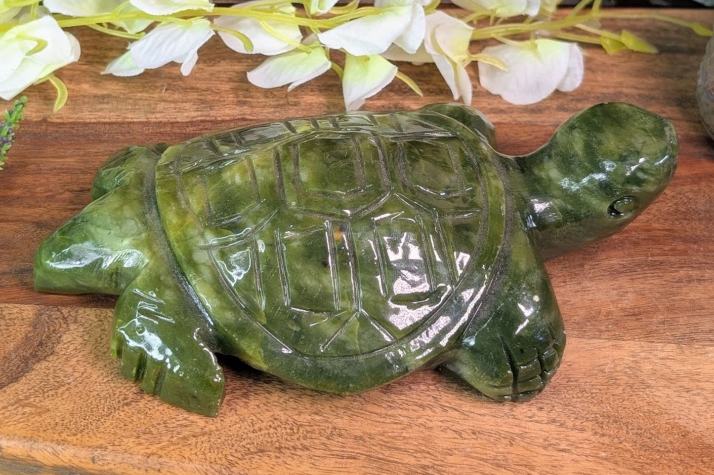 Serpentine Turtle