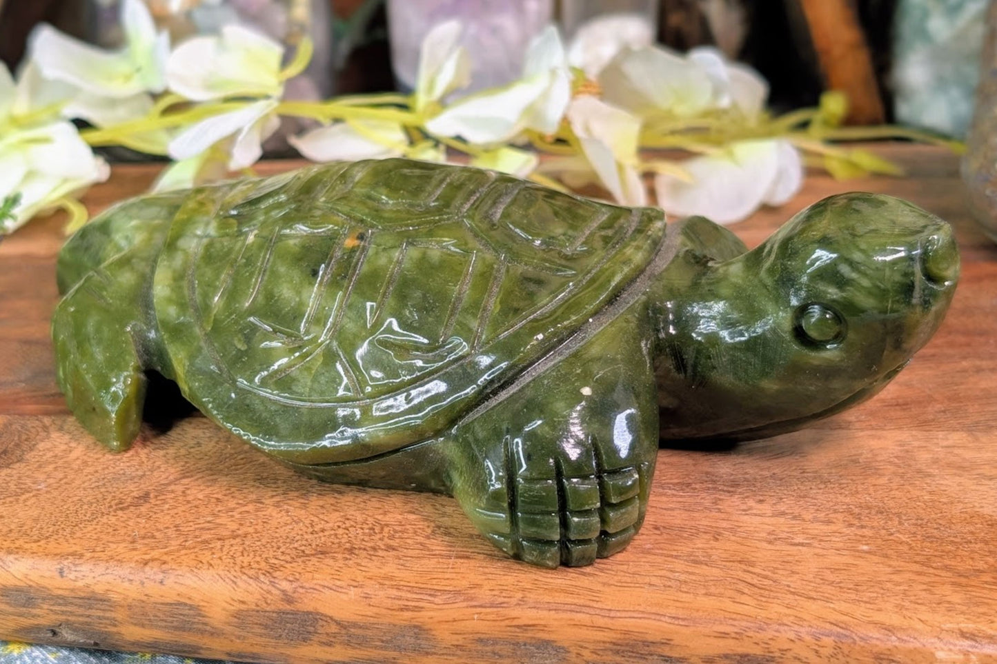 Serpentine Turtle