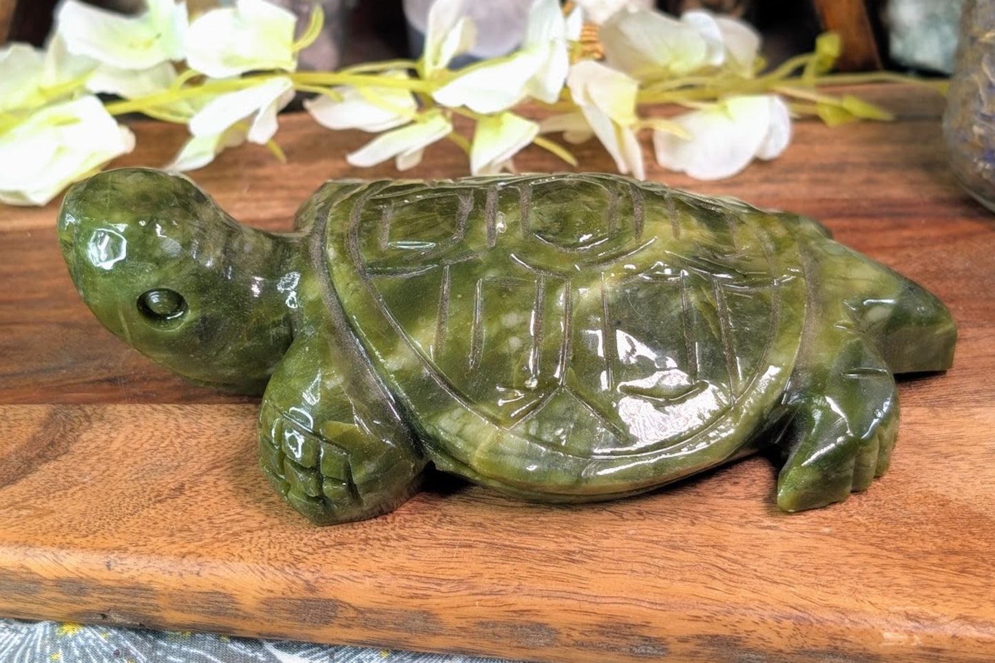 Serpentine Turtle