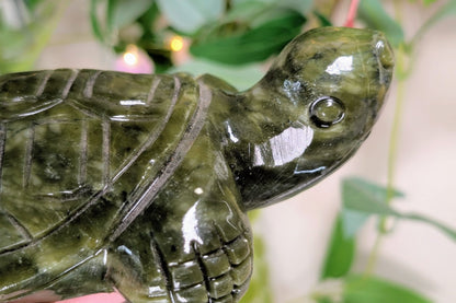 Serpentine Turtle