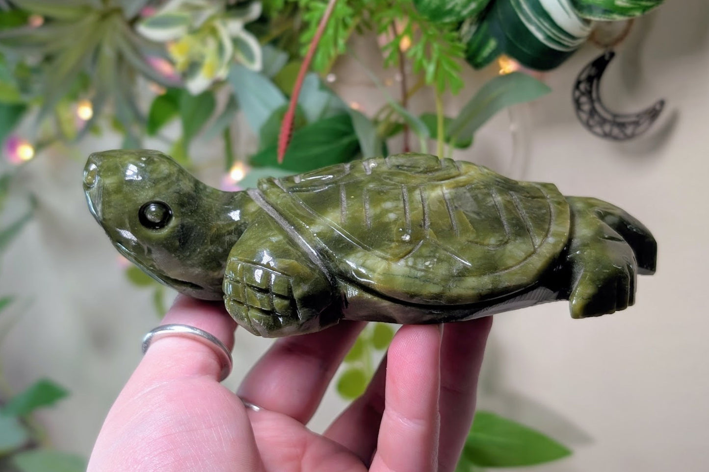 Serpentine Turtle