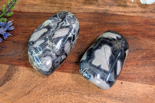 Silver Leaf Jasper Palm Stone