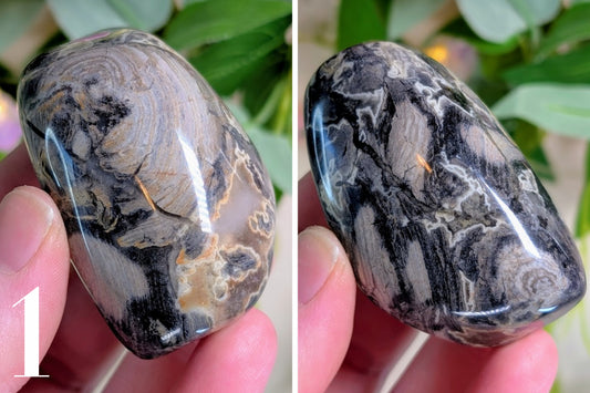 Silver Leaf Jasper Palm Stone