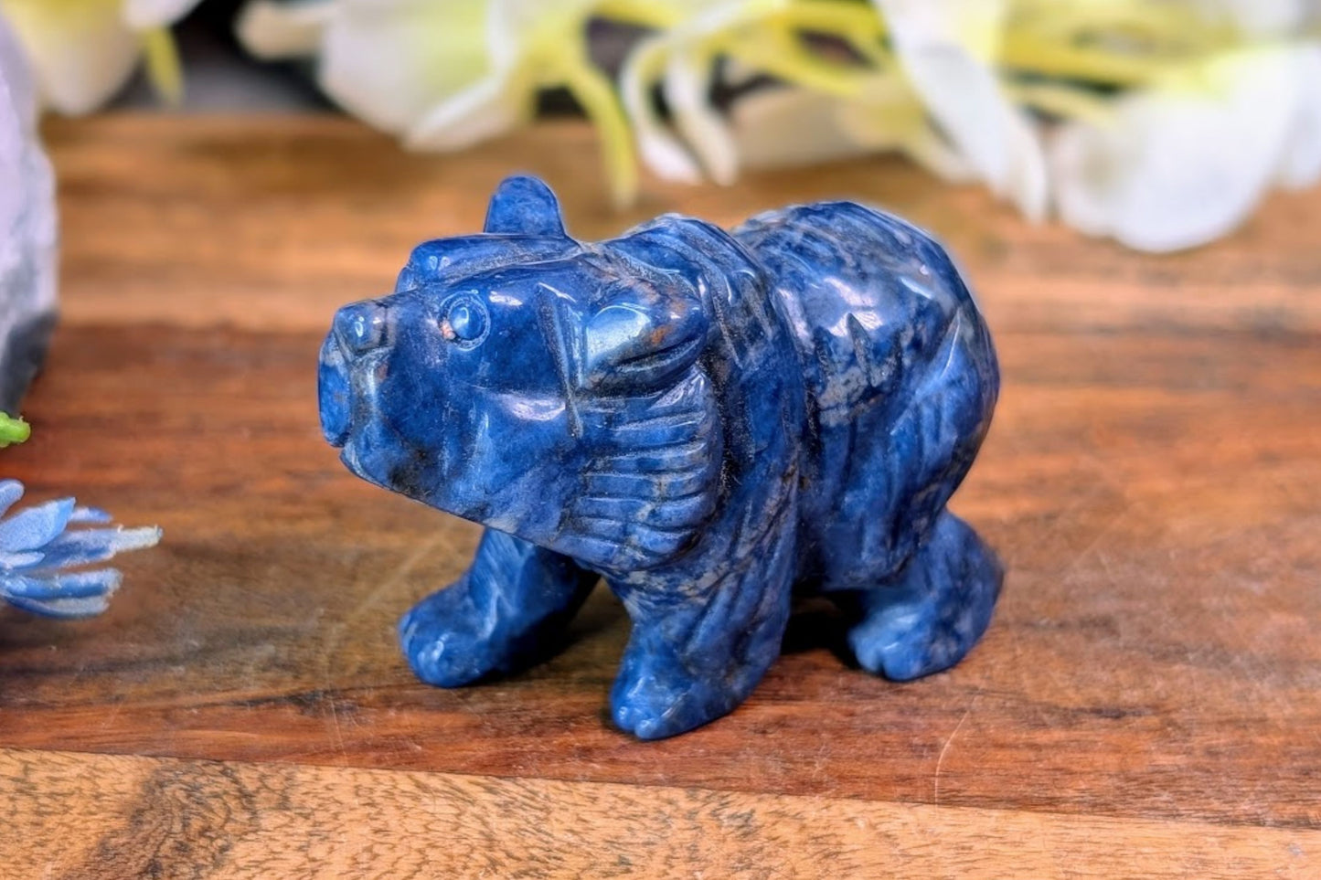 Sodalite Bear