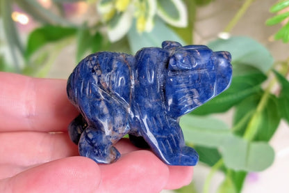 Sodalite Bear