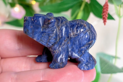 Sodalite Bear