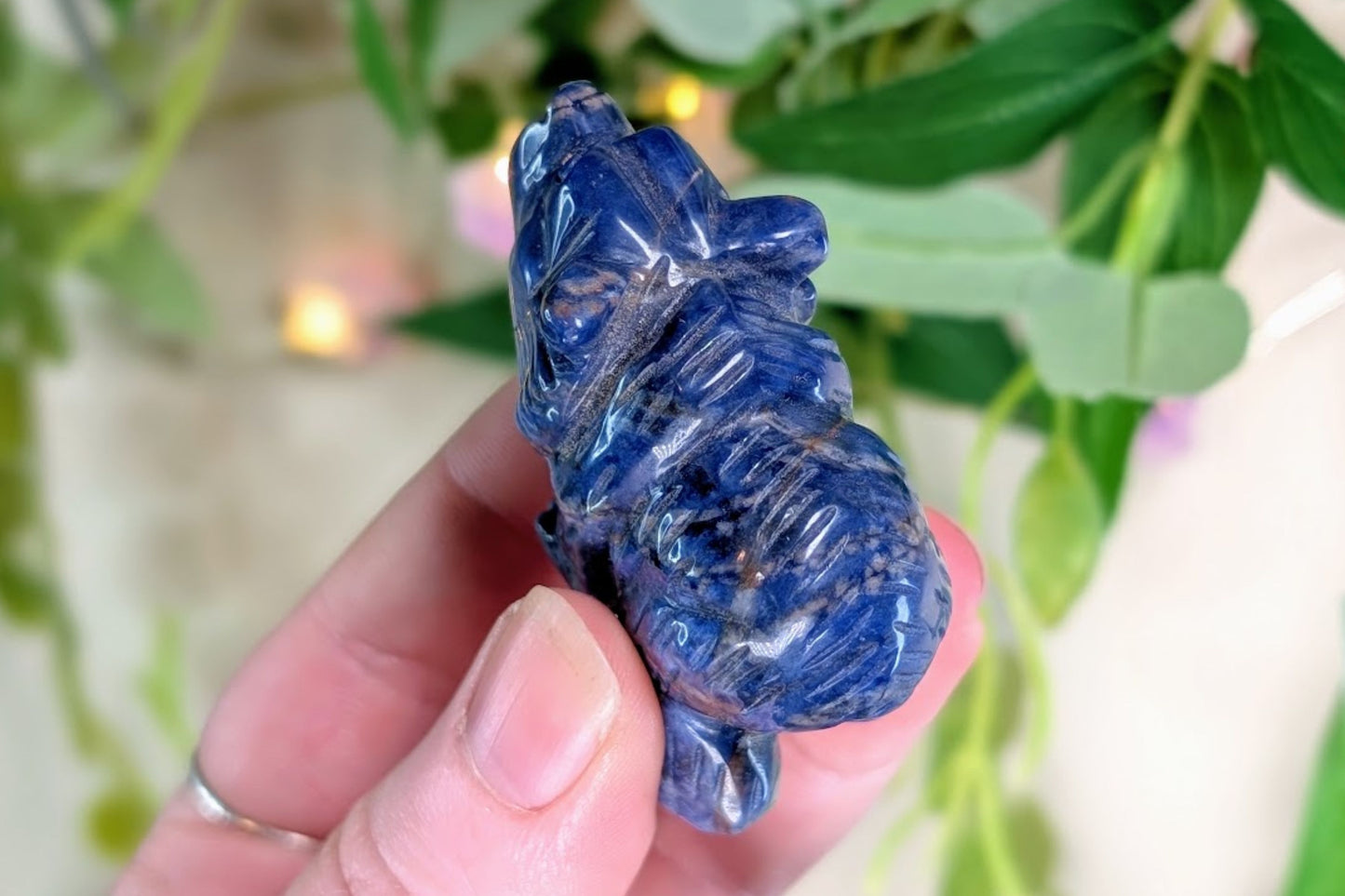 Sodalite Bear
