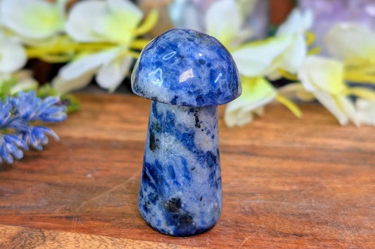 Sodalite Mushroom