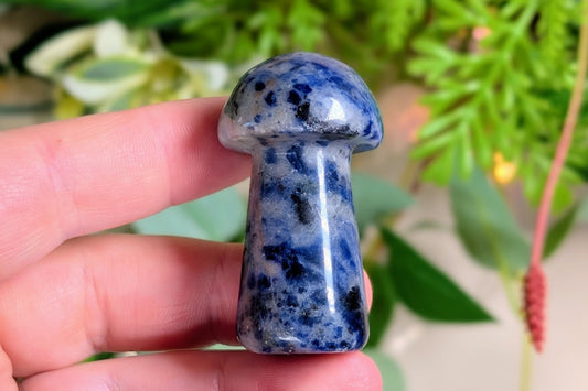 Sodalite Mushroom