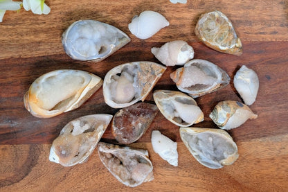Spiralite Gemshells