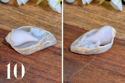 Spiralite Gemshells