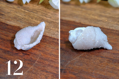 Spiralite Gemshells