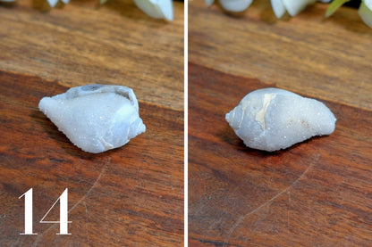 Spiralite Gemshells