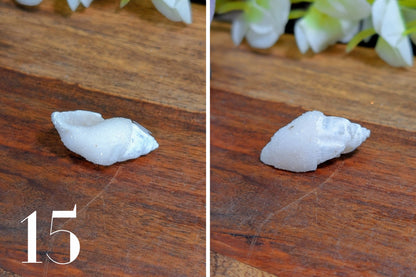 Spiralite Gemshells