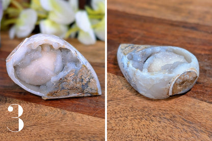 Spiralite Gemshells
