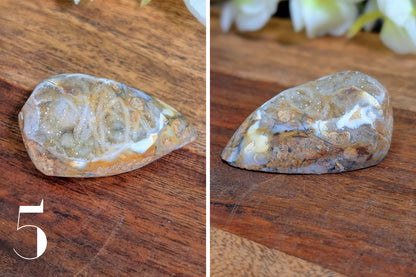 Spiralite Gemshells