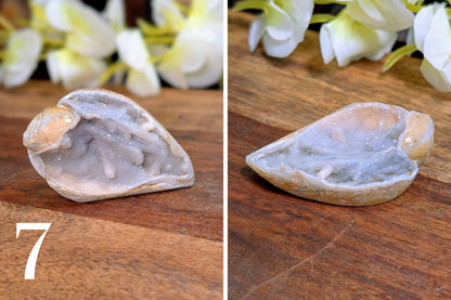 Spiralite Gemshells