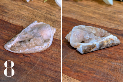 Spiralite Gemshells