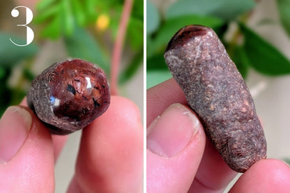 Star Ruby Specimen