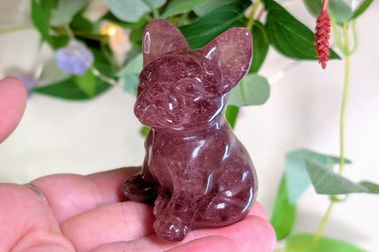 Strawberry Quartz French Bulldog