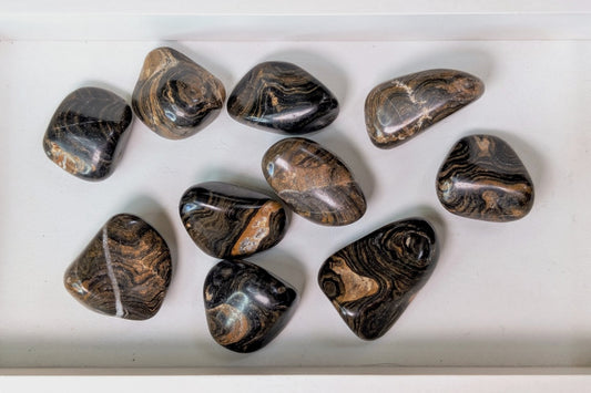Stromatolite Tumbled
