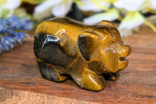 Tiger Eye Pig