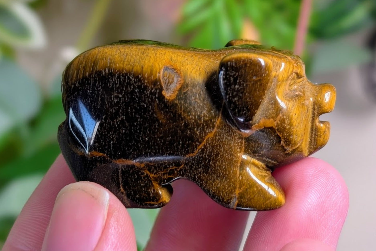 Tiger Eye Pig