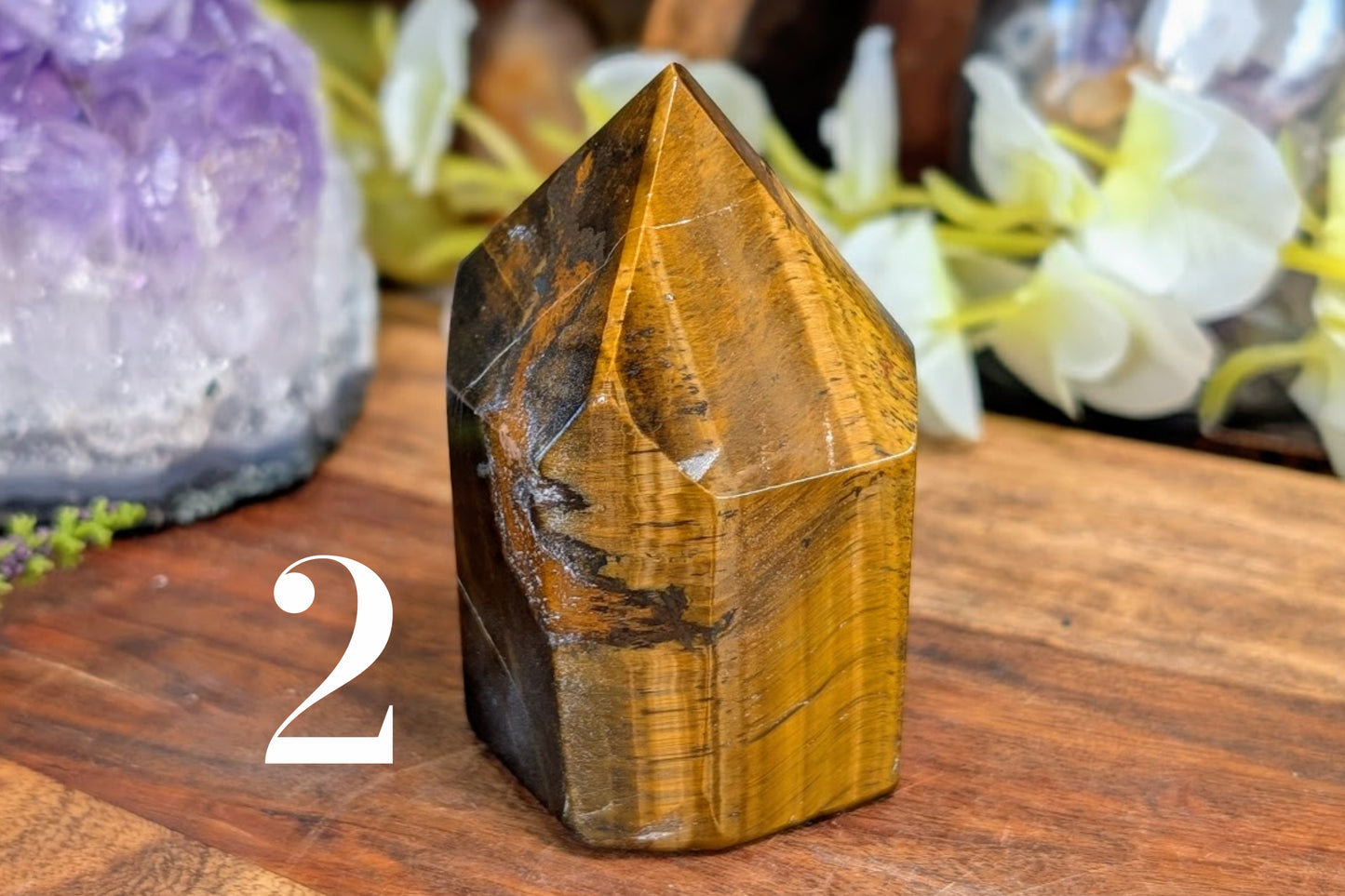 Tiger Eye Point 2.5"