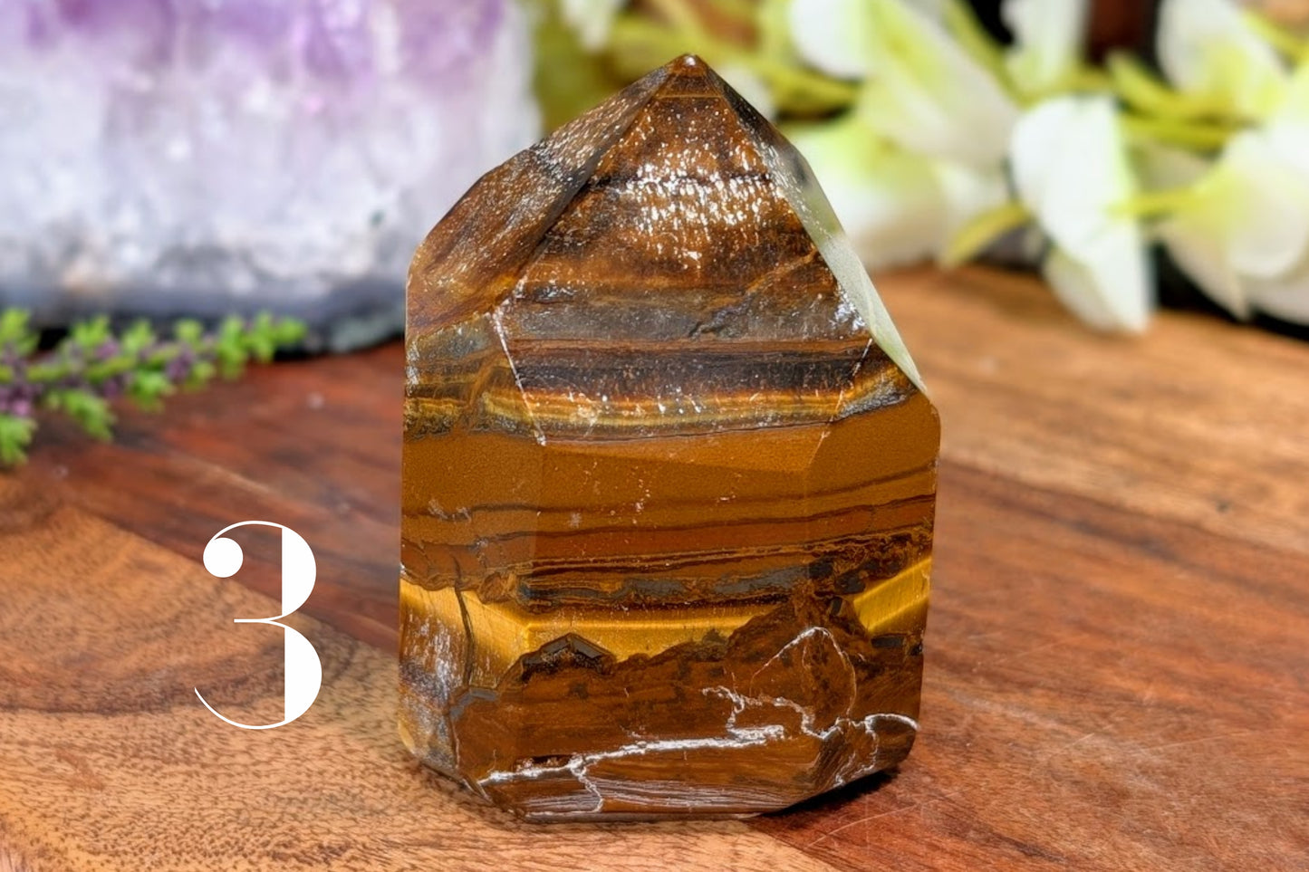 Tiger Eye Point 2.5"